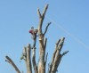 Disa Str - Hermanus - 031_s
